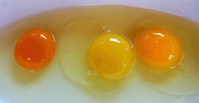 Ungesunde Eier
