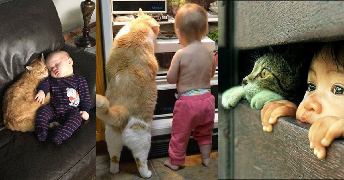 18 Gründe in Bildern, warum Kinder mit Katzen aufwachsen sollten
